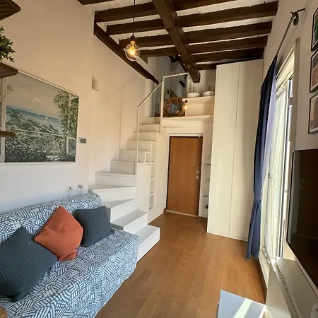 Pantheon Gabbianina *